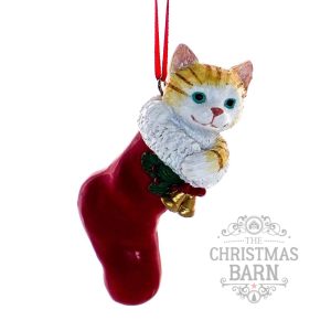 Cat in Stocking