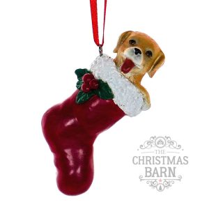 Dog in Stocking