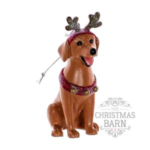 Festive Lab