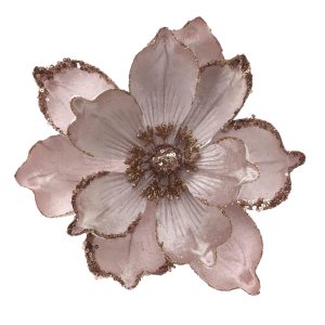 Pink Magnolia