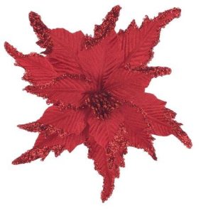 Red Poinsettia