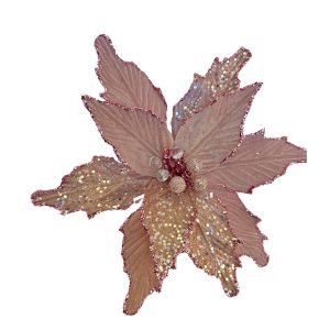 Dusky Pink Poinsettia