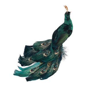Velvet Peacock