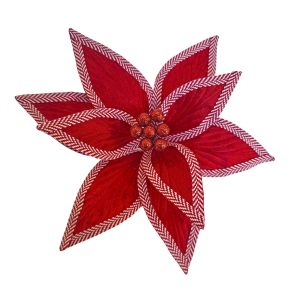 Red & White Poinsettia