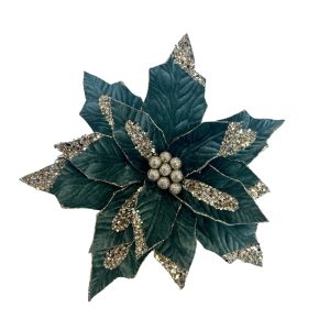 Green Poinsettia
