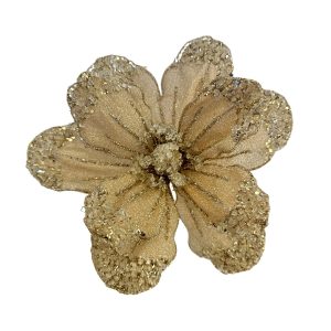Gold Magnolia