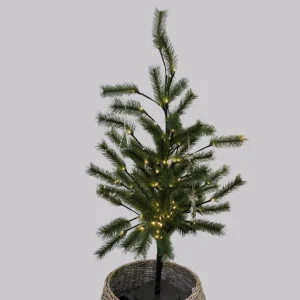 Green Lit Tree