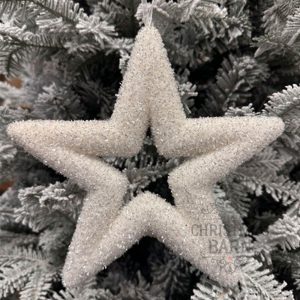 White & Silver Star