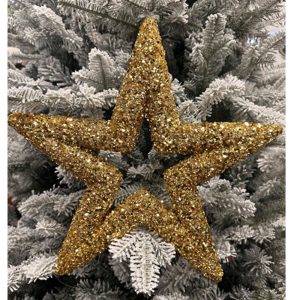 Large Gold Star