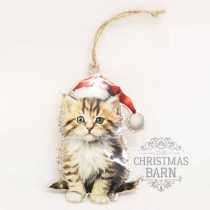 Kitten Hanger